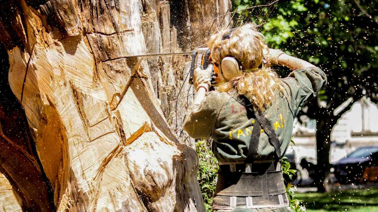 Best Palm Tree Trimming  in Glencoe, MN